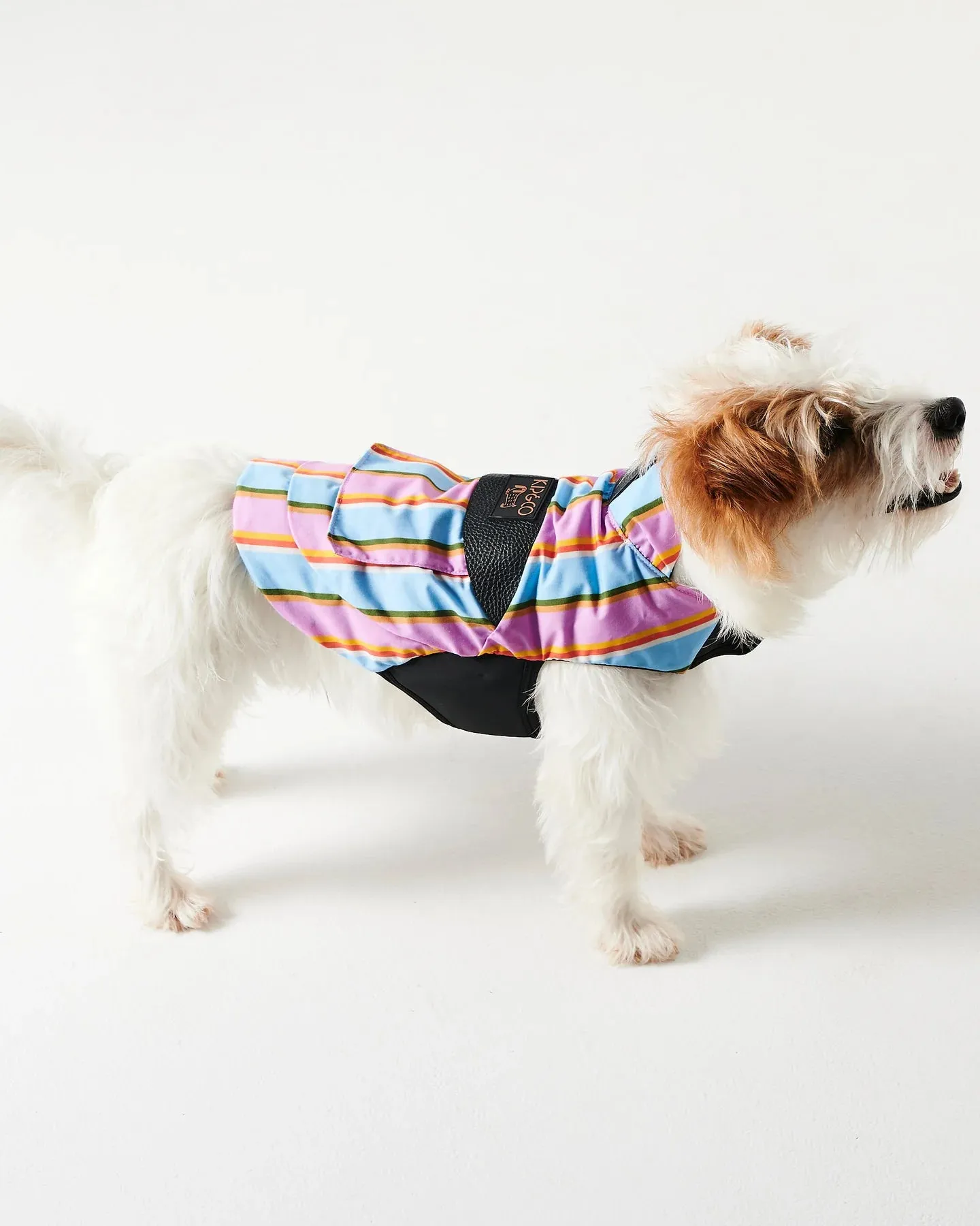 Kip & Co Fez Stripe Dog Jacket