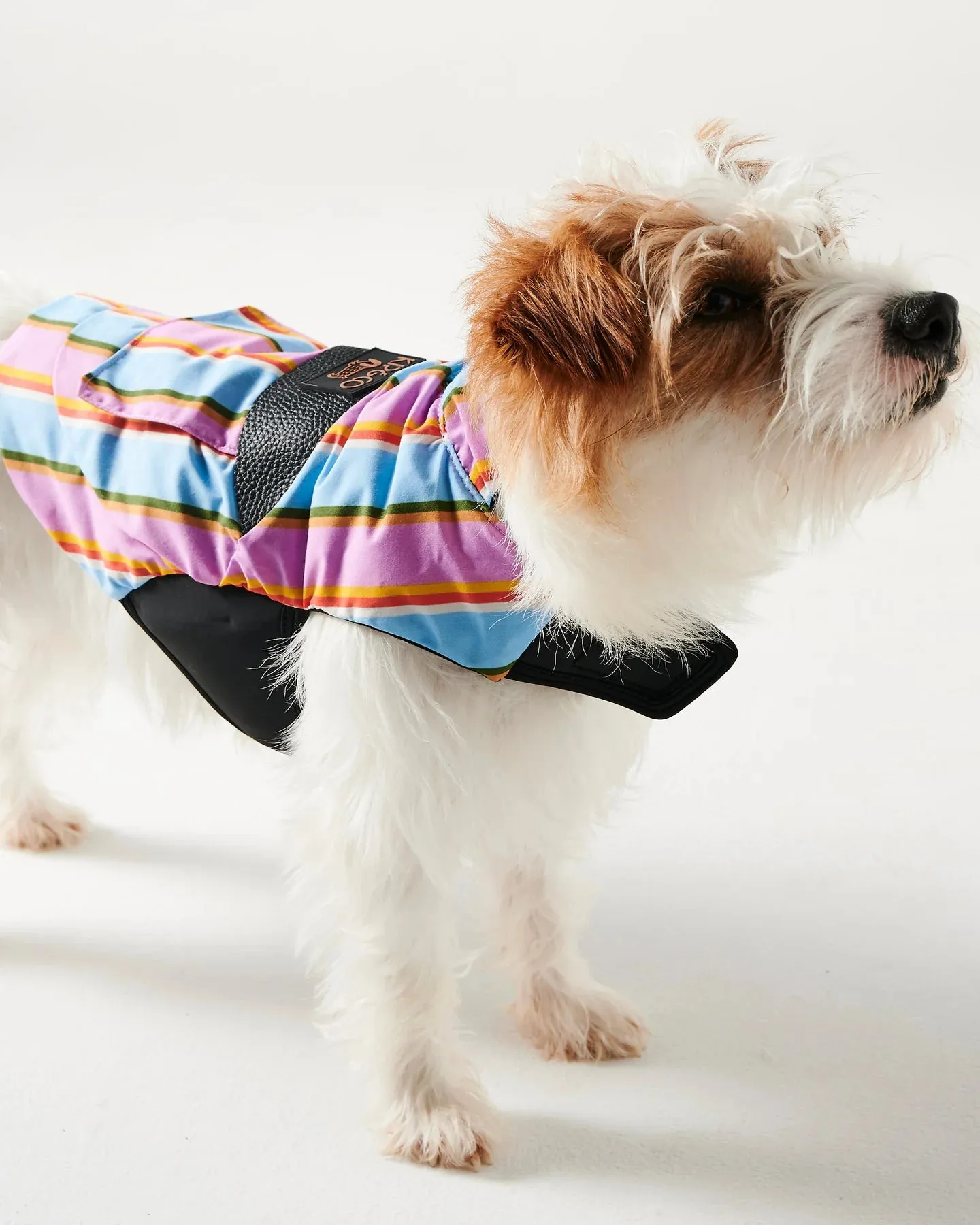 Kip & Co Fez Stripe Dog Jacket